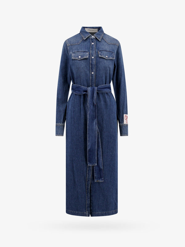 Dana denim chemisier dress