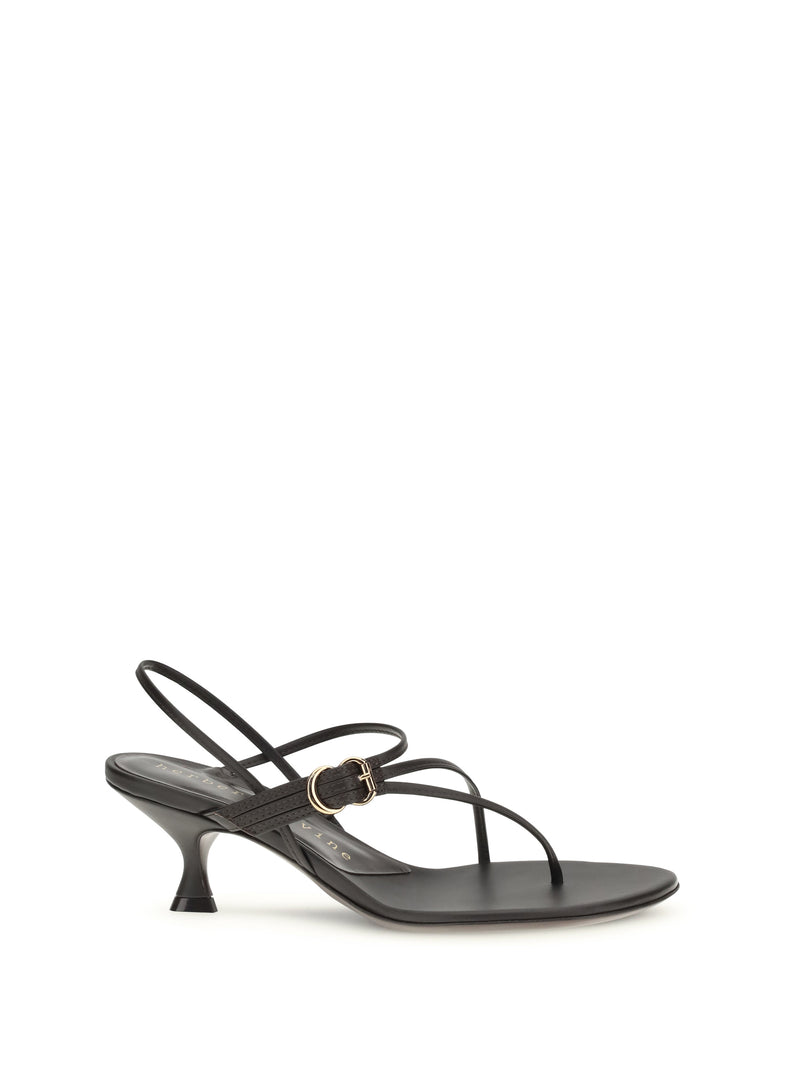 Herbert Levine Herbert Levine Starry Eyed Sandals Dark Brown - World Class Fashion