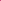 The Latest Dora Wide Leg Pants Fuxia Women Back View