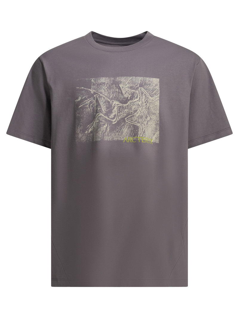 Arc'teryx Camiseta Arc'teryx Kragg Cotton Lithographica Morada - World Class Fashion